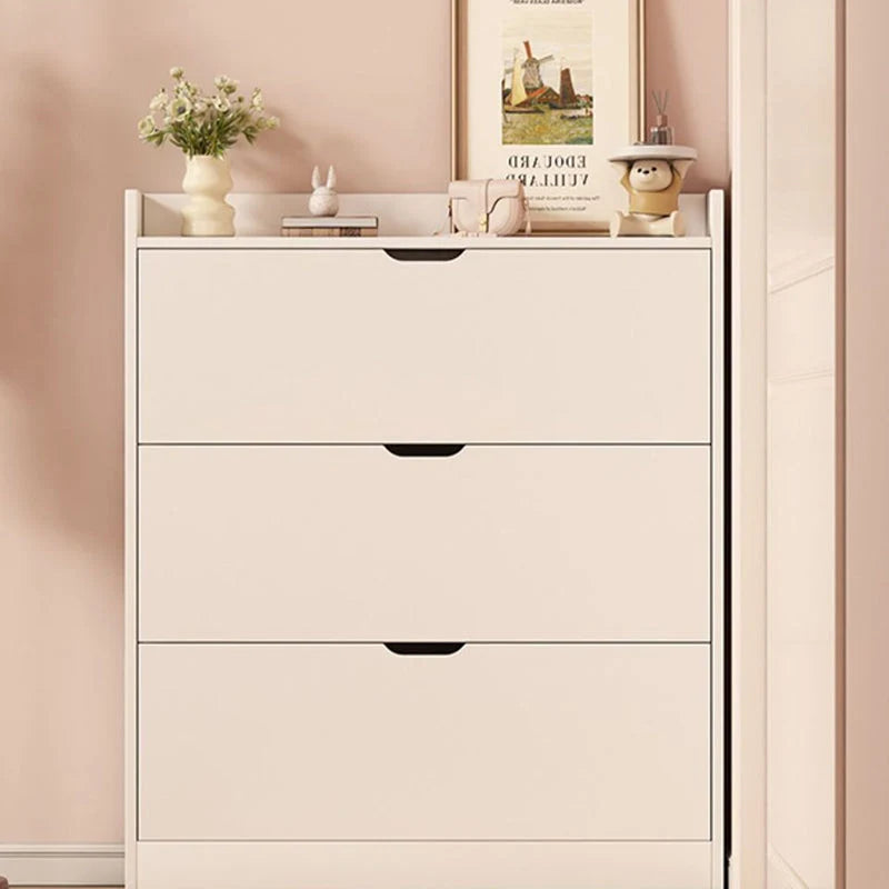 Shoe Storage Cabinet Slim Concealed Tiered Storage