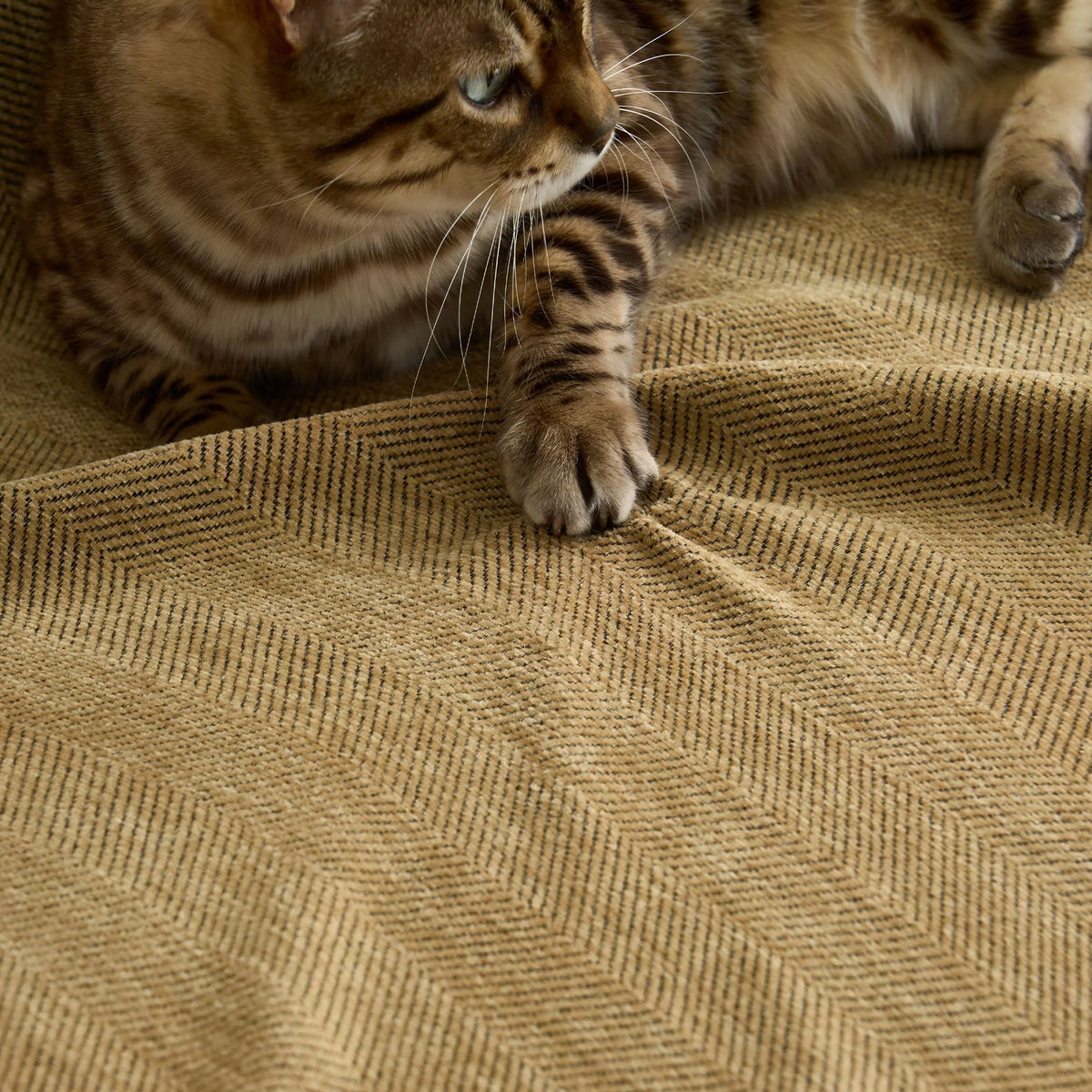 Sofa Cover Water-Repellent Pet-Resistant Herringbone Weave