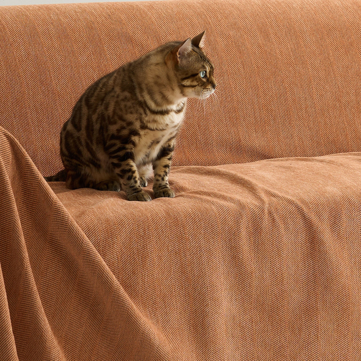 Sofa Cover Water-Repellent Pet-Resistant Herringbone Weave