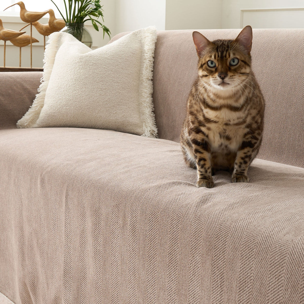 Sofa Cover Water-Repellent Pet-Resistant Herringbone Weave