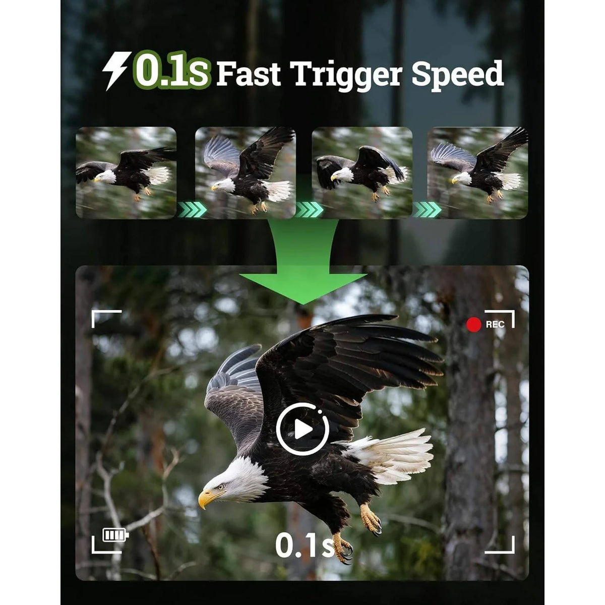 Trail Camera 4K Ultra HD Solar-Powered Night Vision