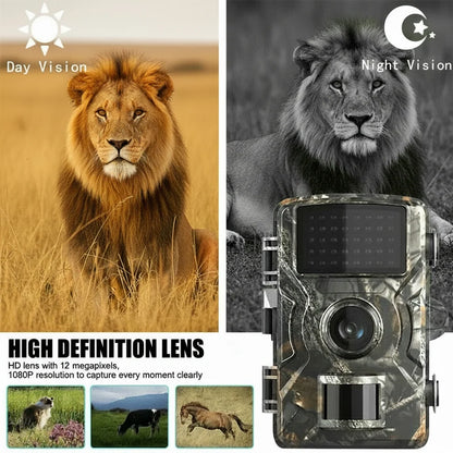 Wildlife Camera 1080P HD No-Glow Night Vision Weatherproof