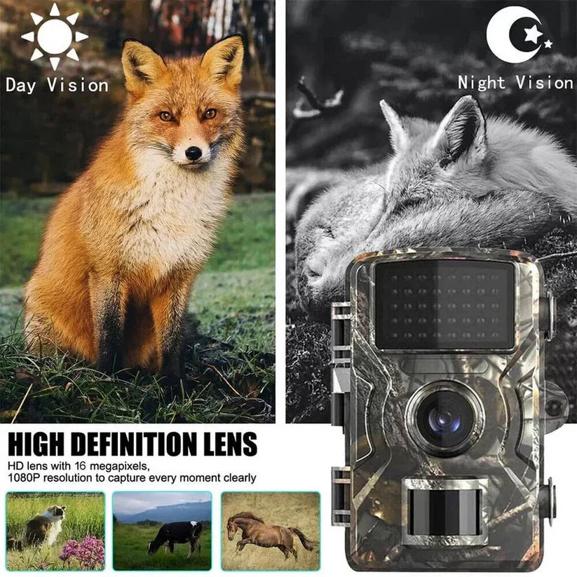Wildlife Camera No-Glow Night Vision 1080p HD