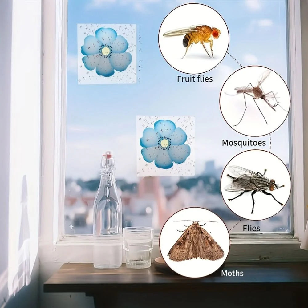 Window Insect Traps Transparent Adhesive Non-Toxic Set of 6