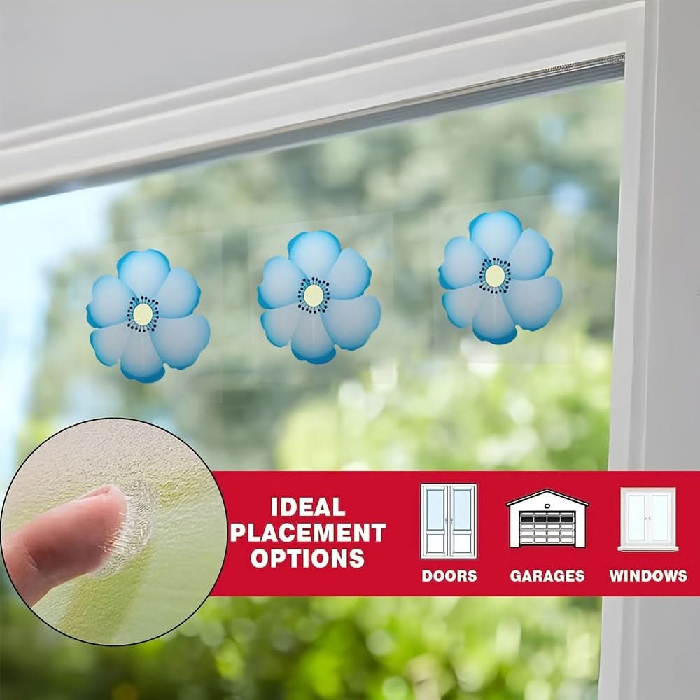 Window Insect Traps Transparent Adhesive Non-Toxic Set of 6