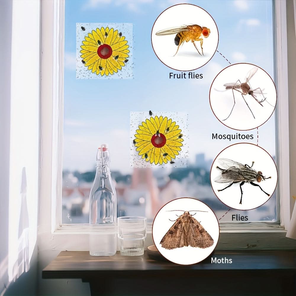 Window Insect Traps Transparent Adhesive Non-Toxic Set of 6