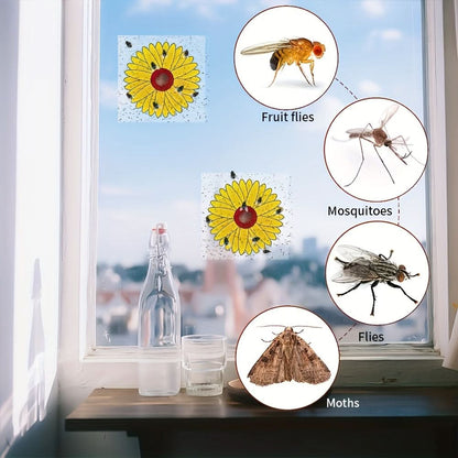 Window Insect Traps Transparent Adhesive Non-Toxic Set of 6