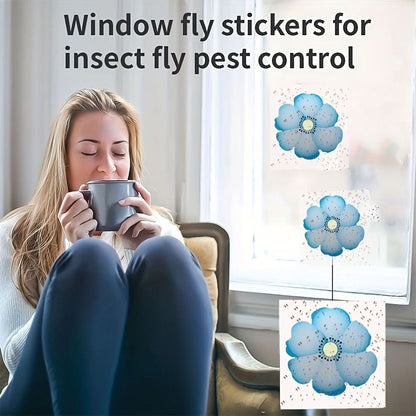 Window Insect Traps Transparent Adhesive Non-Toxic Set of 6