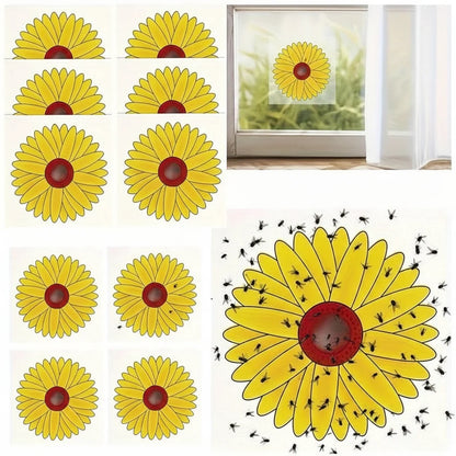 Window Insect Traps Transparent Adhesive Non-Toxic Set of 6