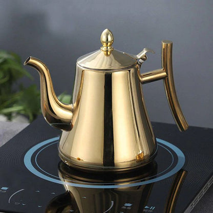 Elegant Induction Kettle with Whistle and Water Filter