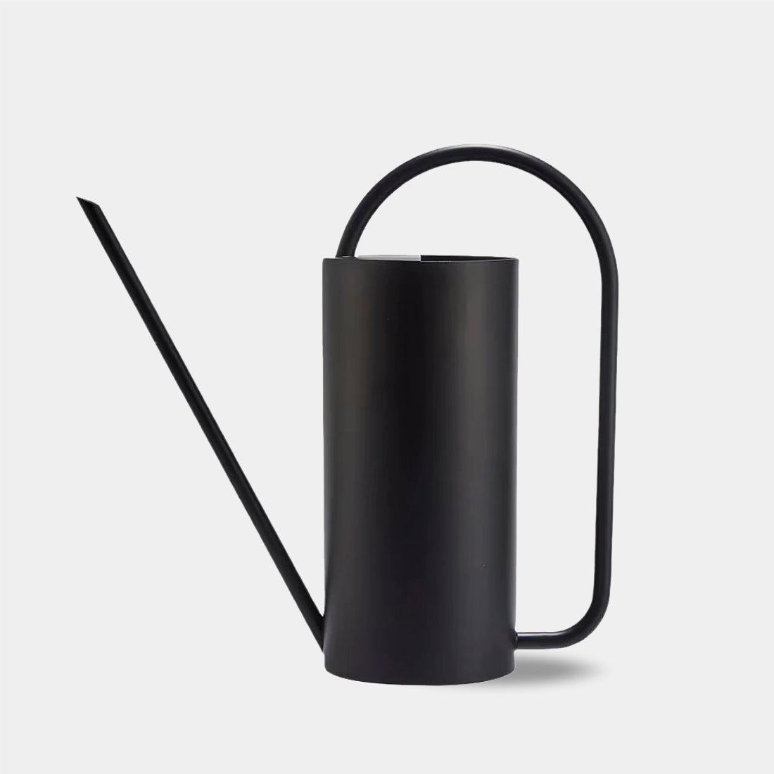 Elegant Stainless Steel Watering Can for Indoor Plants