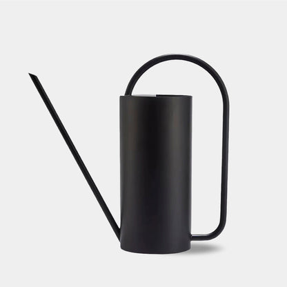 Elegant Stainless Steel Watering Can for Indoor Plants
