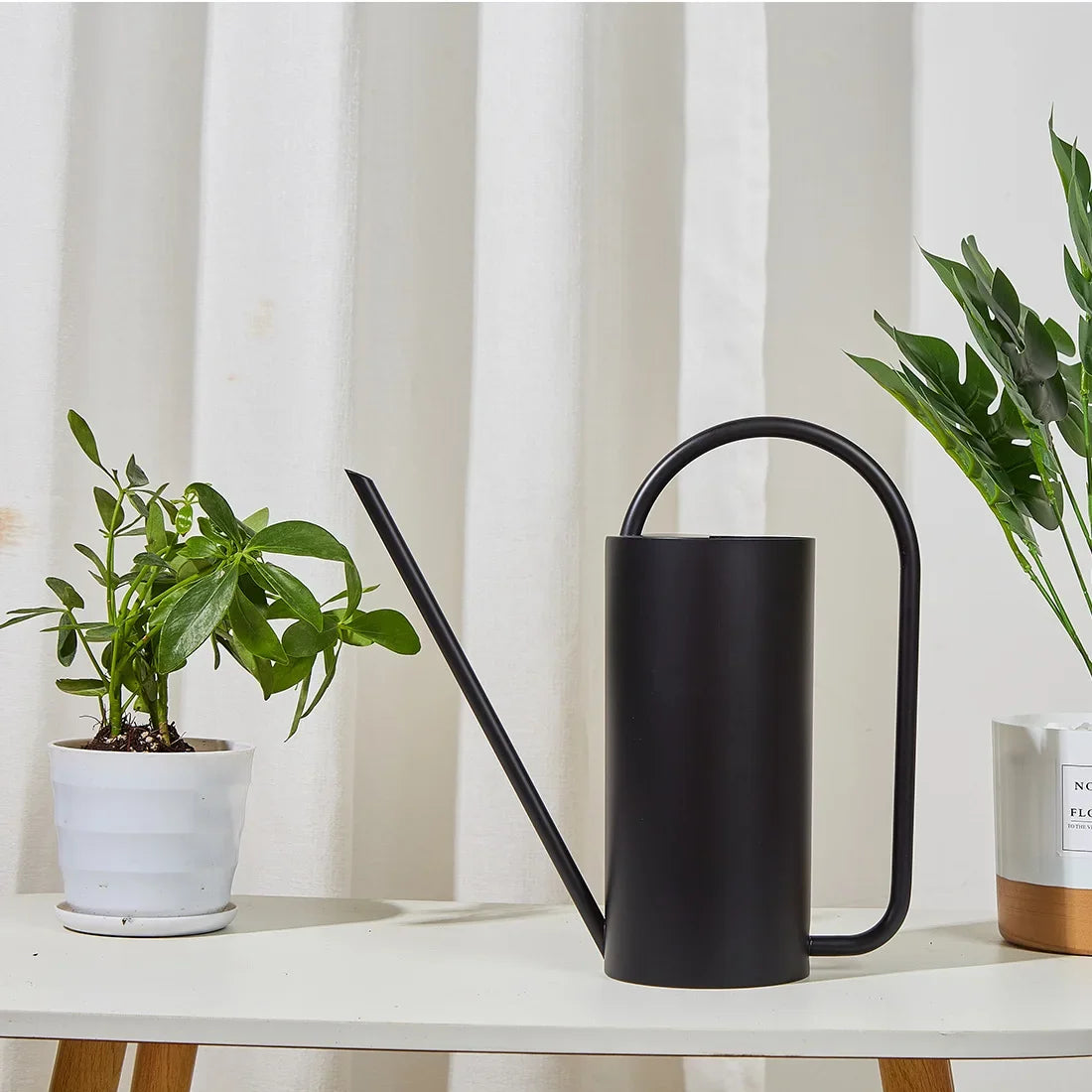 Elegant Stainless Steel Watering Can for Indoor Plants