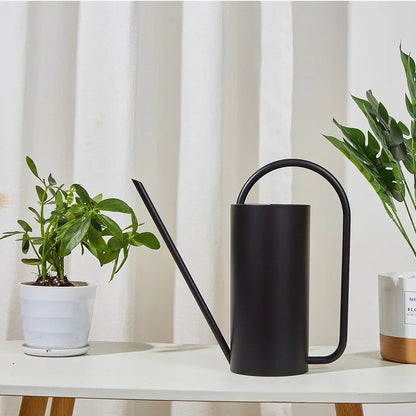 Elegant Stainless Steel Watering Can for Indoor Plants