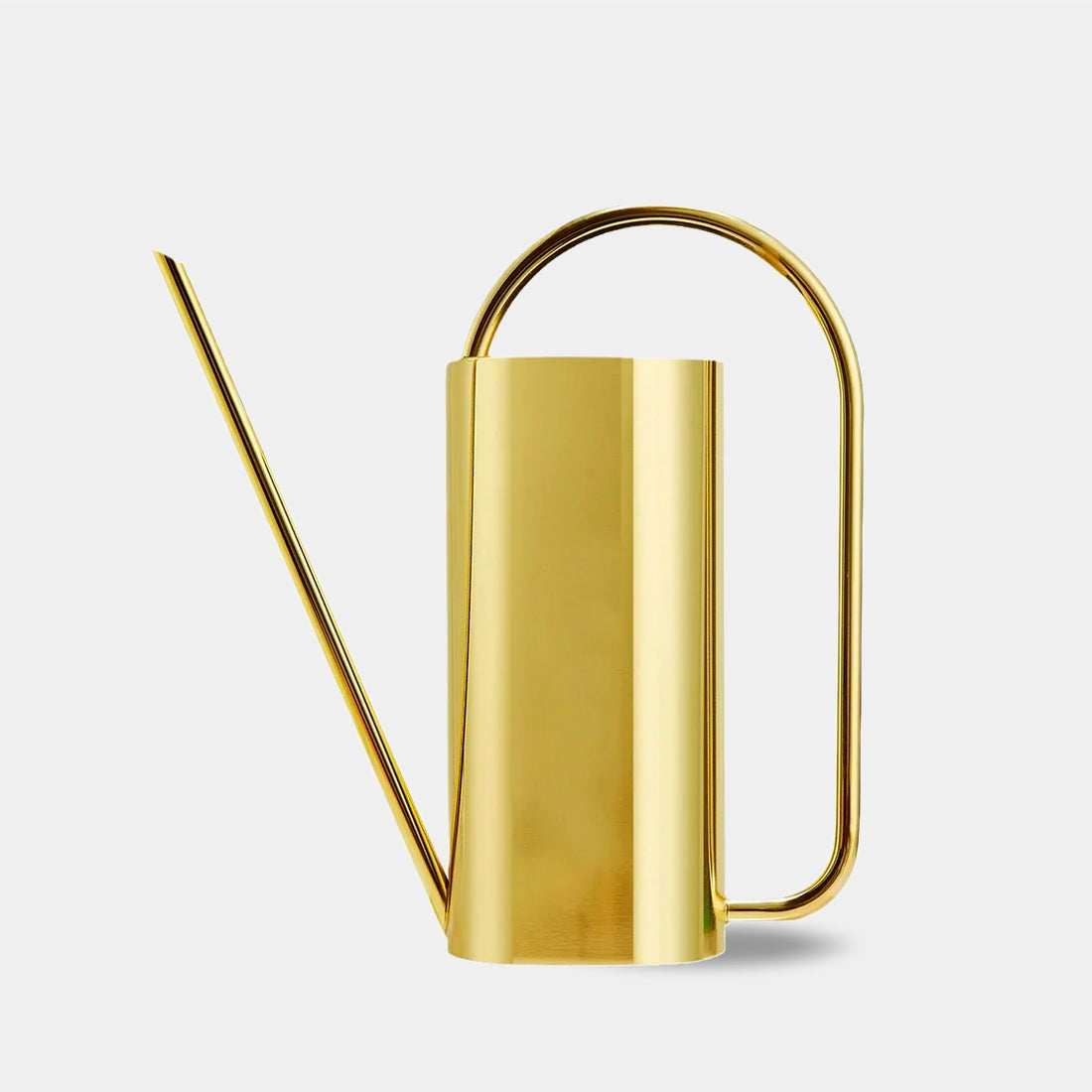 Elegant Stainless Steel Watering Can for Indoor Plants