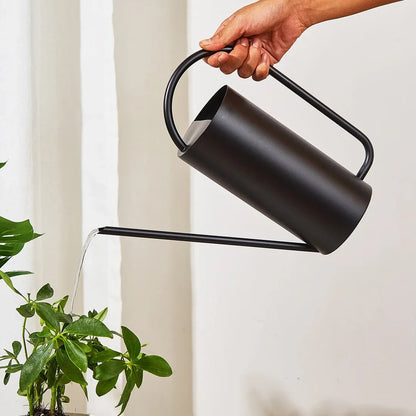 Elegant Stainless Steel Watering Can for Indoor Plants