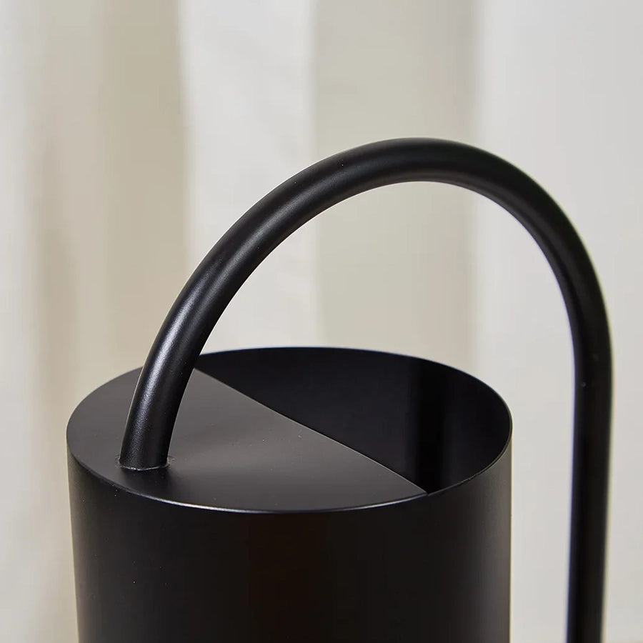 Elegant Stainless Steel Watering Can for Indoor Plants