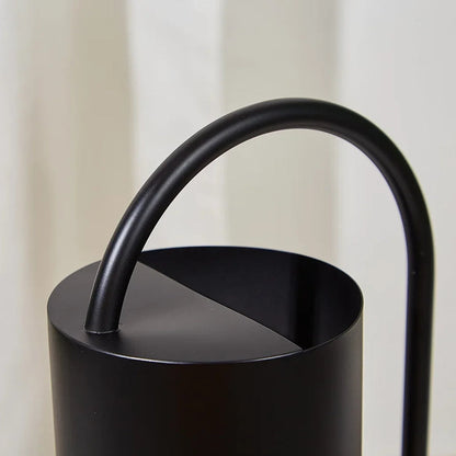 Elegant Stainless Steel Watering Can for Indoor Plants