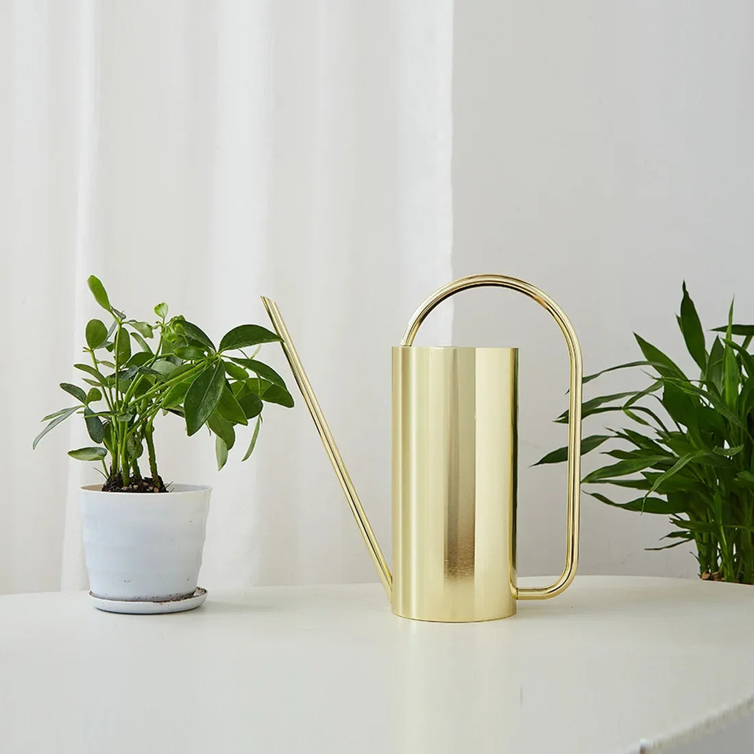 Elegant Stainless Steel Watering Can for Indoor Plants