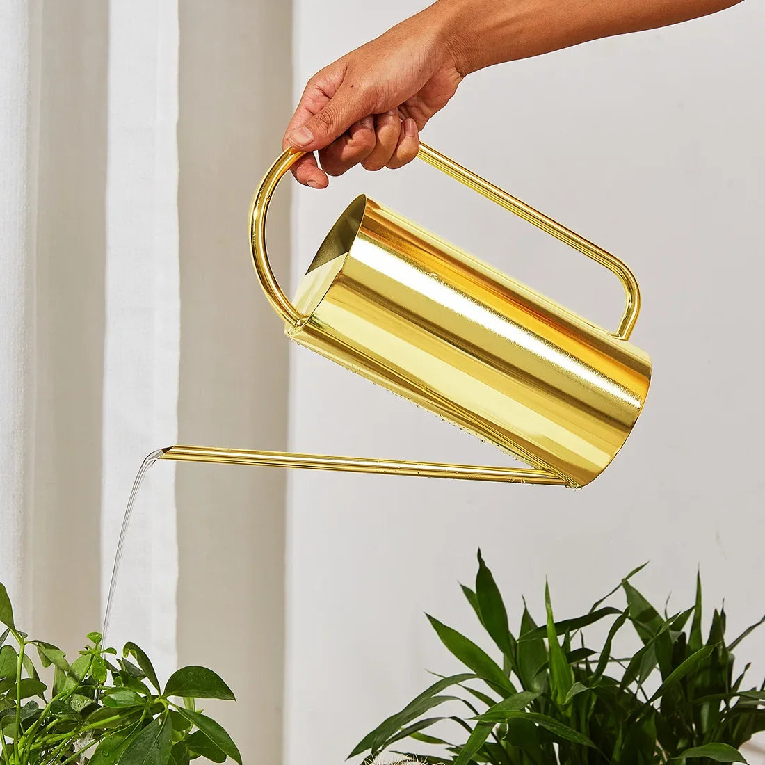 Elegant Stainless Steel Watering Can for Indoor Plants