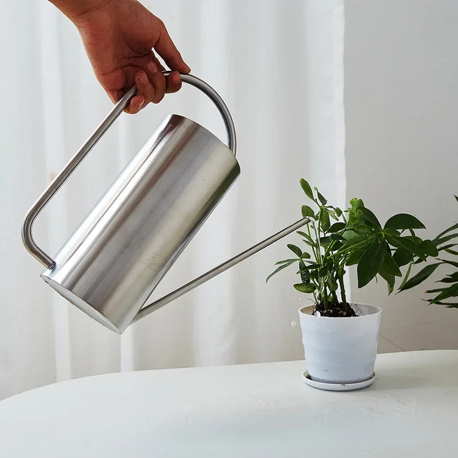 Elegant Stainless Steel Watering Can for Indoor Plants