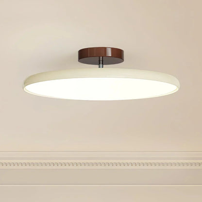 Versatile Modern Ceiling Light for Any Room