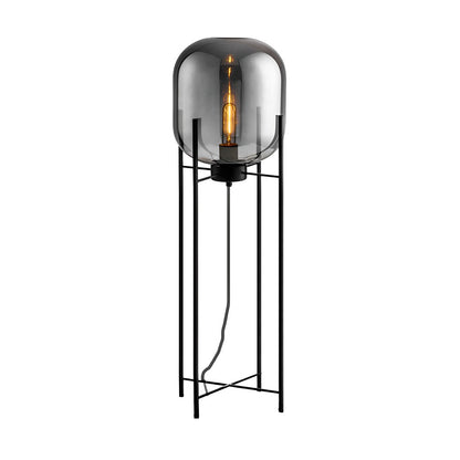 Elegant Industrial Floor Lamp with Artisan Glass Shade