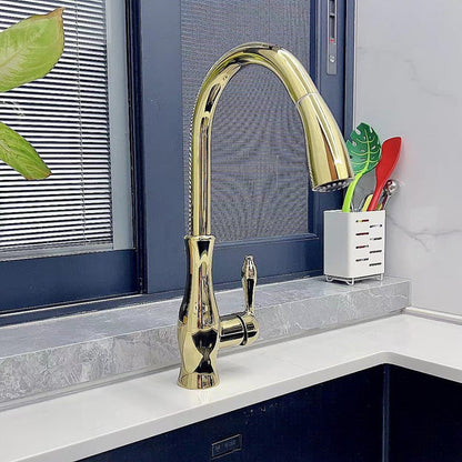 Versatile Kitchen Faucet with Pull-Down Spray Feature