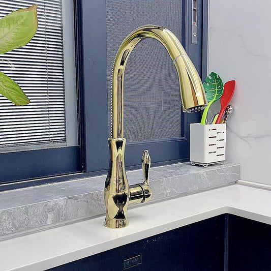 Versatile Kitchen Faucet with Pull-Down Spray Feature