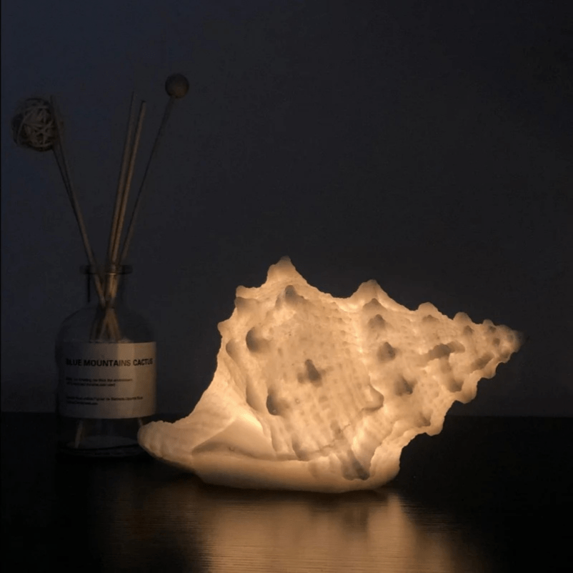 Serenity Shell Nightlight – Cozy White Glow for Any Room