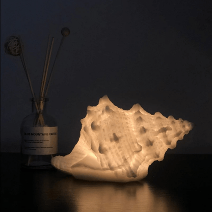 Serenity Shell Nightlight – Cozy White Glow for Any Room