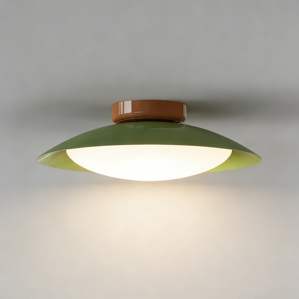 Elegant LED Ceiling Light Fixture with Soft Illumination