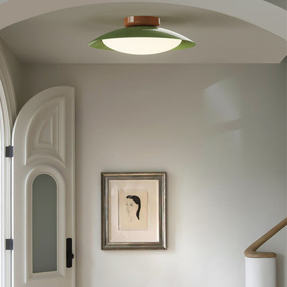 Elegant LED Ceiling Light Fixture with Soft Illumination
