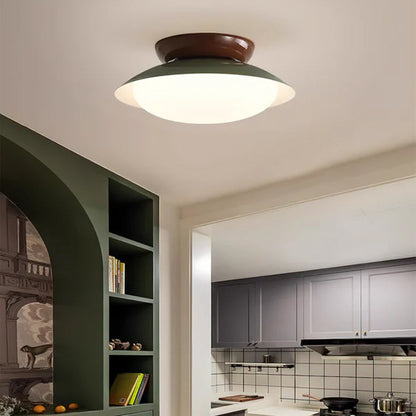Elegant LED Ceiling Light Fixture with Soft Illumination