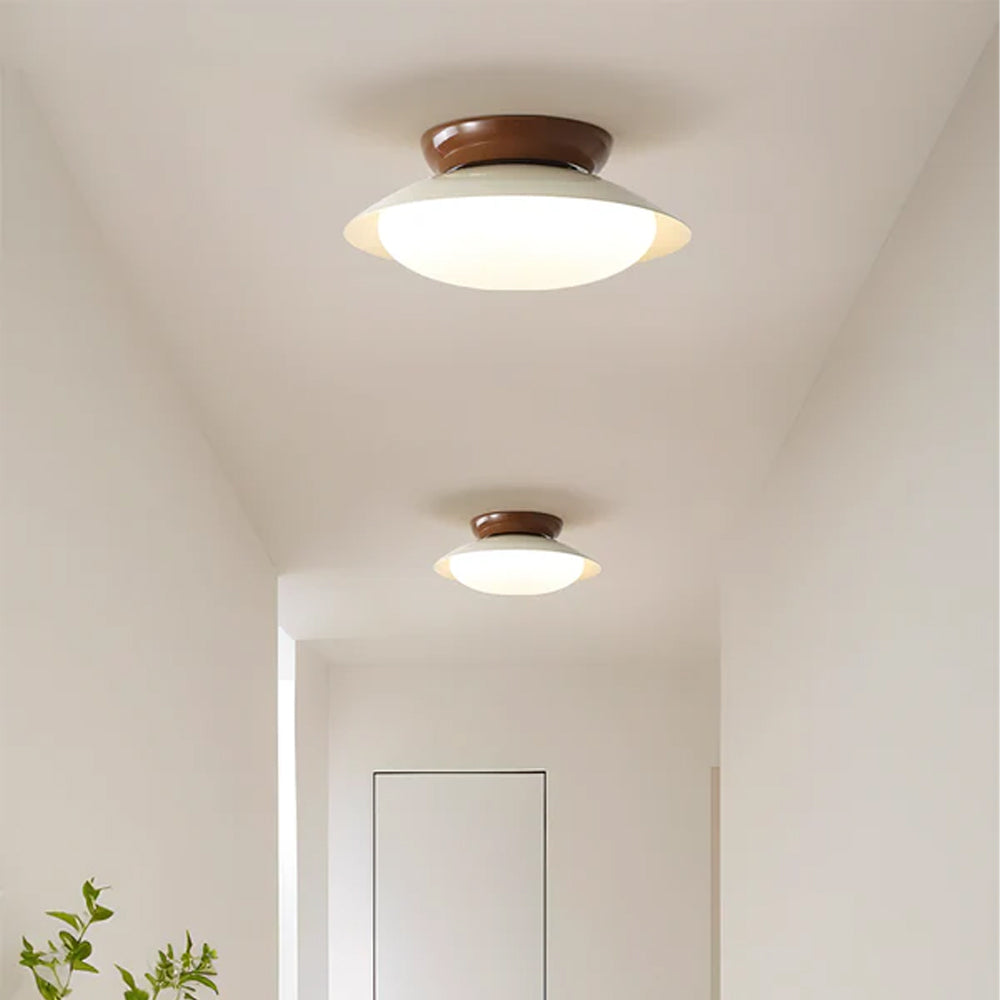 Elegant LED Ceiling Light Fixture with Soft Illumination
