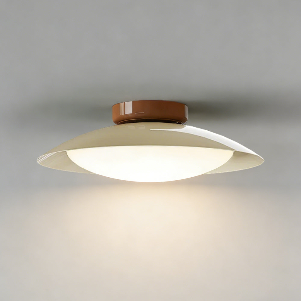 Elegant LED Ceiling Light Fixture with Soft Illumination