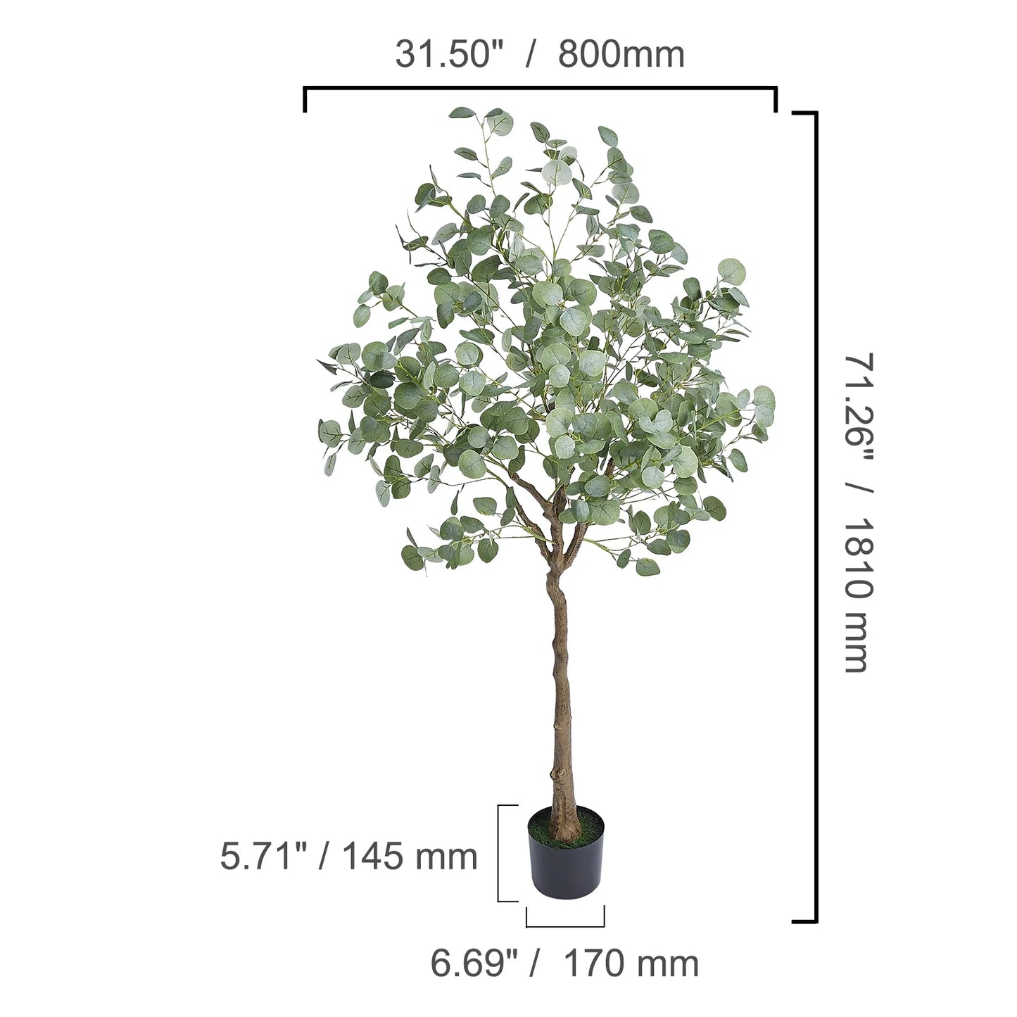Olive Tree Decoration with Stable Base
