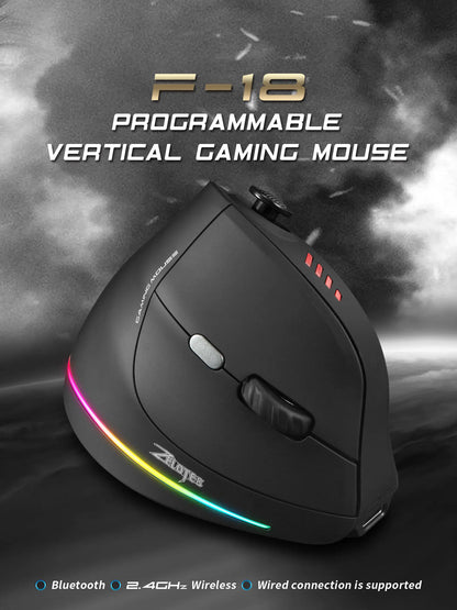 Wireless Vertical Ergonomic Mouse Model F18