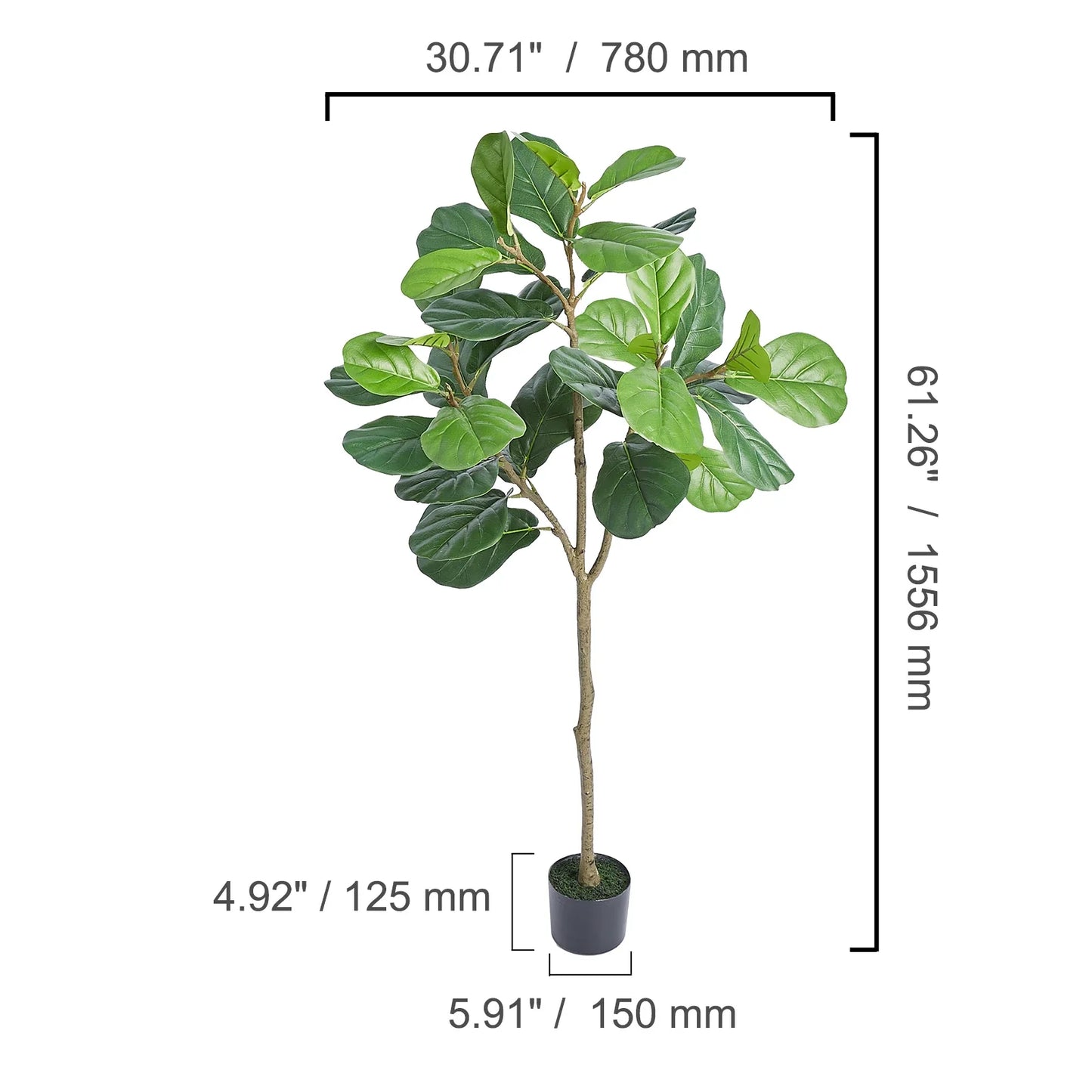 Olive Tree Decoration with Stable Base