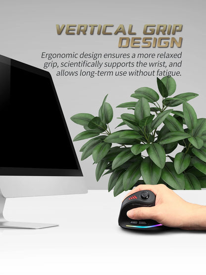 Wireless Vertical Ergonomic Mouse Model F18