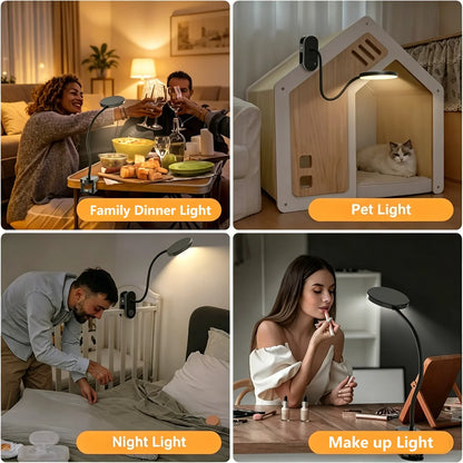 Clip-On Desk Lamp with 3.5-Inch LED Light