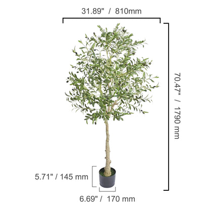 Olive Tree Decoration with Stable Base