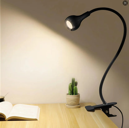 LED Desk Lamp with USB Charging Port