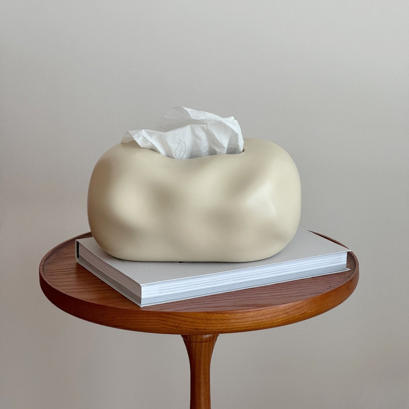 Elegant Cloud-Inspired Ceramic Tissue Organizer
