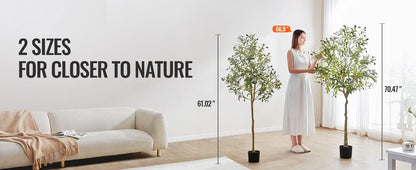 Olive Tree Decoration with Stable Base