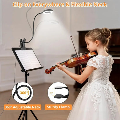 Desk Lamp with LED Light and Ring Clamp Attachment