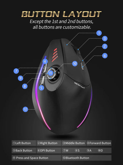Wireless Vertical Ergonomic Mouse Model F18