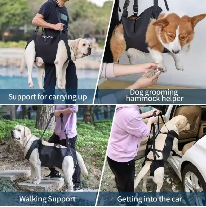 Reliable Pet Mobility Aid Sling