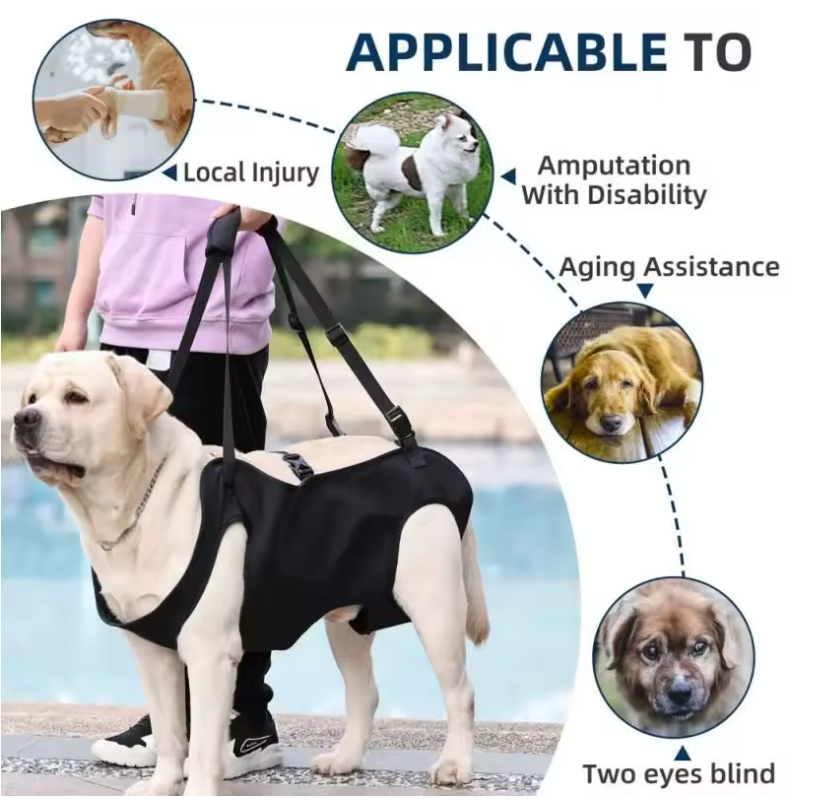 Reliable Pet Mobility Aid Sling