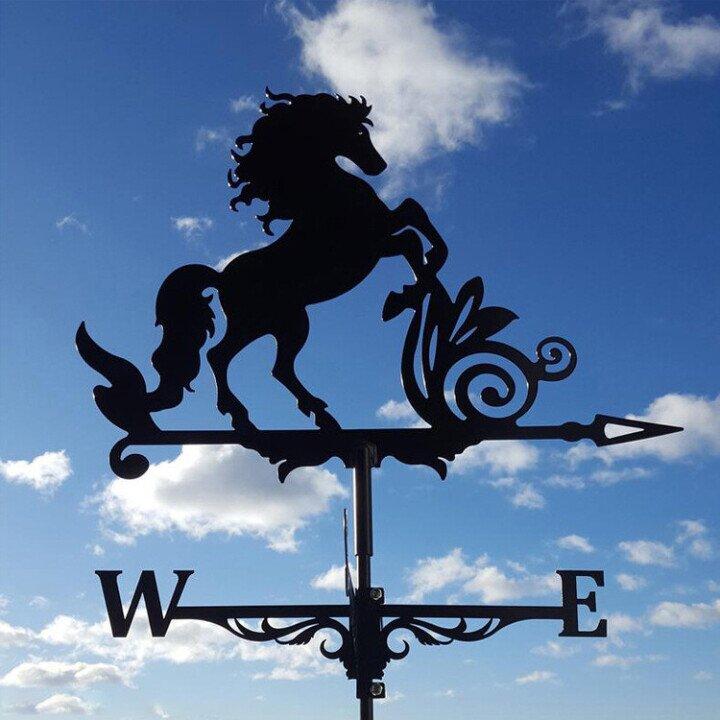 Whimsical Outdoor Weather Vane for Garden Charm